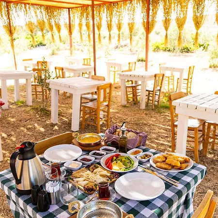 Ali Baba Ciftligi